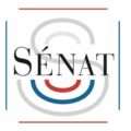 logo senat 2