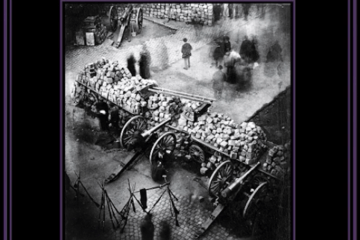 DIONYSIAQUE La Vierge Noire