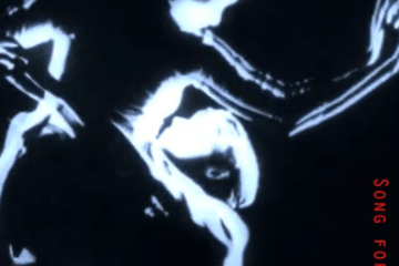 The Wooden Wolf Song for Joa