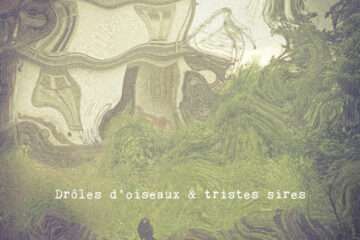 LOKI X GLUANT Drôles d'oiseaux & tristes sires