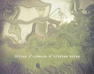 LOKI X GLUANT Drôles d'oiseaux & tristes sires