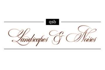 qsb Landscapes & Noises