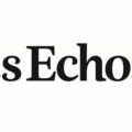 Les Echos logo