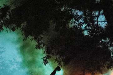 transfensch ni adieu ni admettre