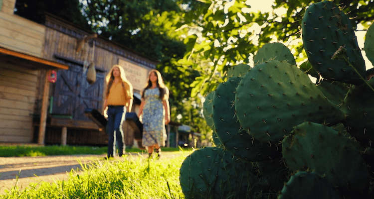 Two Magnets A Hillbilly Elegy