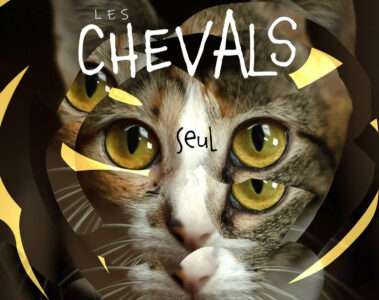 Les Chevals Seul