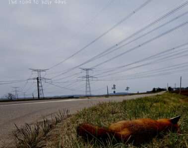 MOGZ The road to holy days