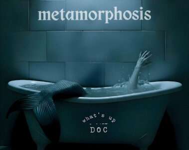 whatsupdoc Metamorphosis