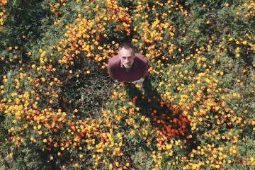 PAUL D'AMOUR AU JARDIN DES DÉLICES