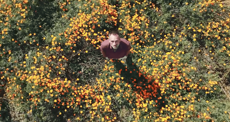 PAUL D'AMOUR AU JARDIN DES DÉLICES