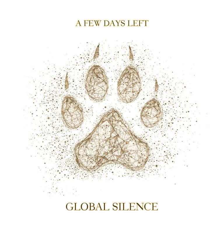Global Silence A Few days Left