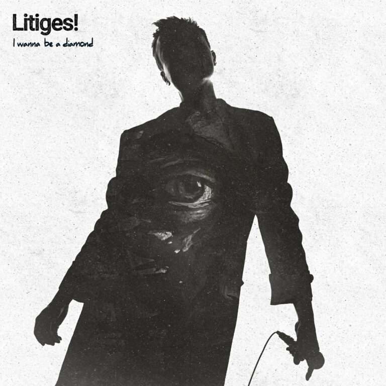 Litiges