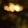 Ardren