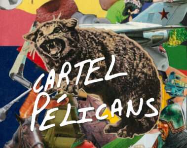 Cartel Pélicans